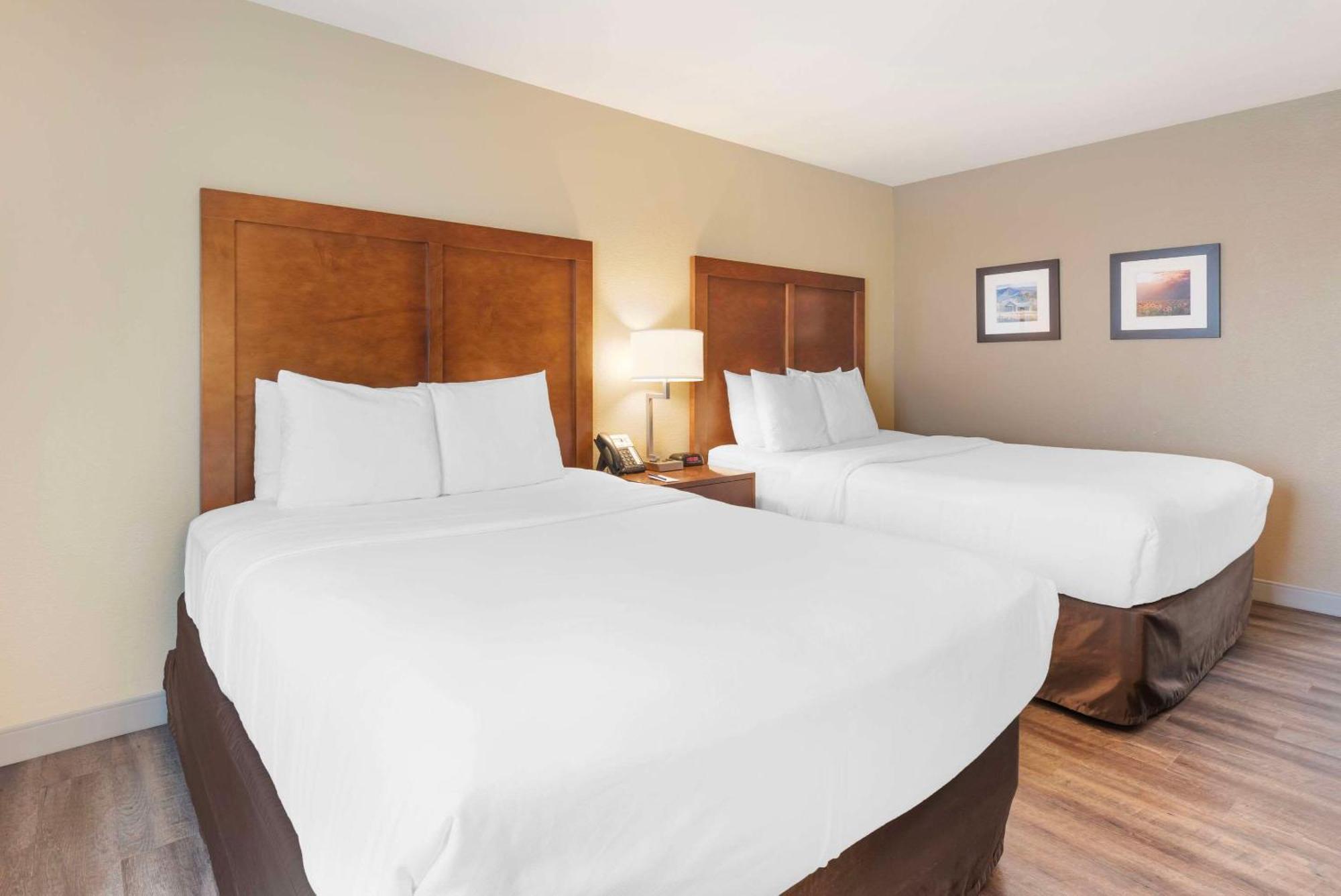 Comfort Inn & Suites Carbondale On The Roaring Fork Eksteriør billede