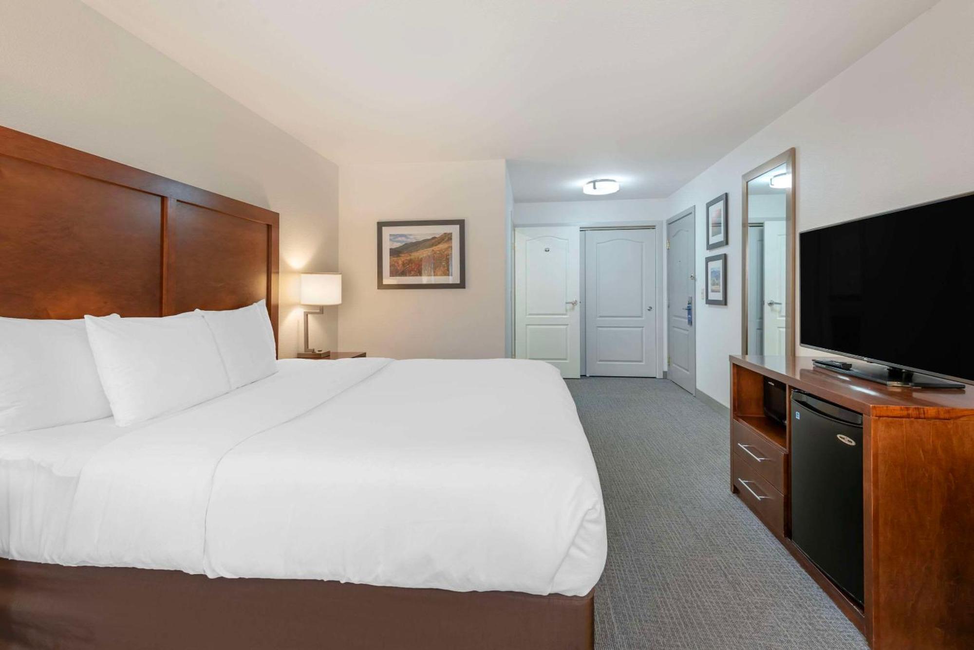 Comfort Inn & Suites Carbondale On The Roaring Fork Eksteriør billede